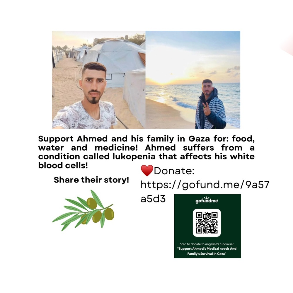 Free Gaza Bracelet - Picture 5 of 6